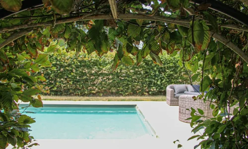 rénovation d'une piscine